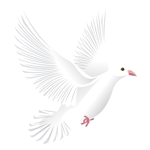 White Flying Pigeon Transparent PNG Image