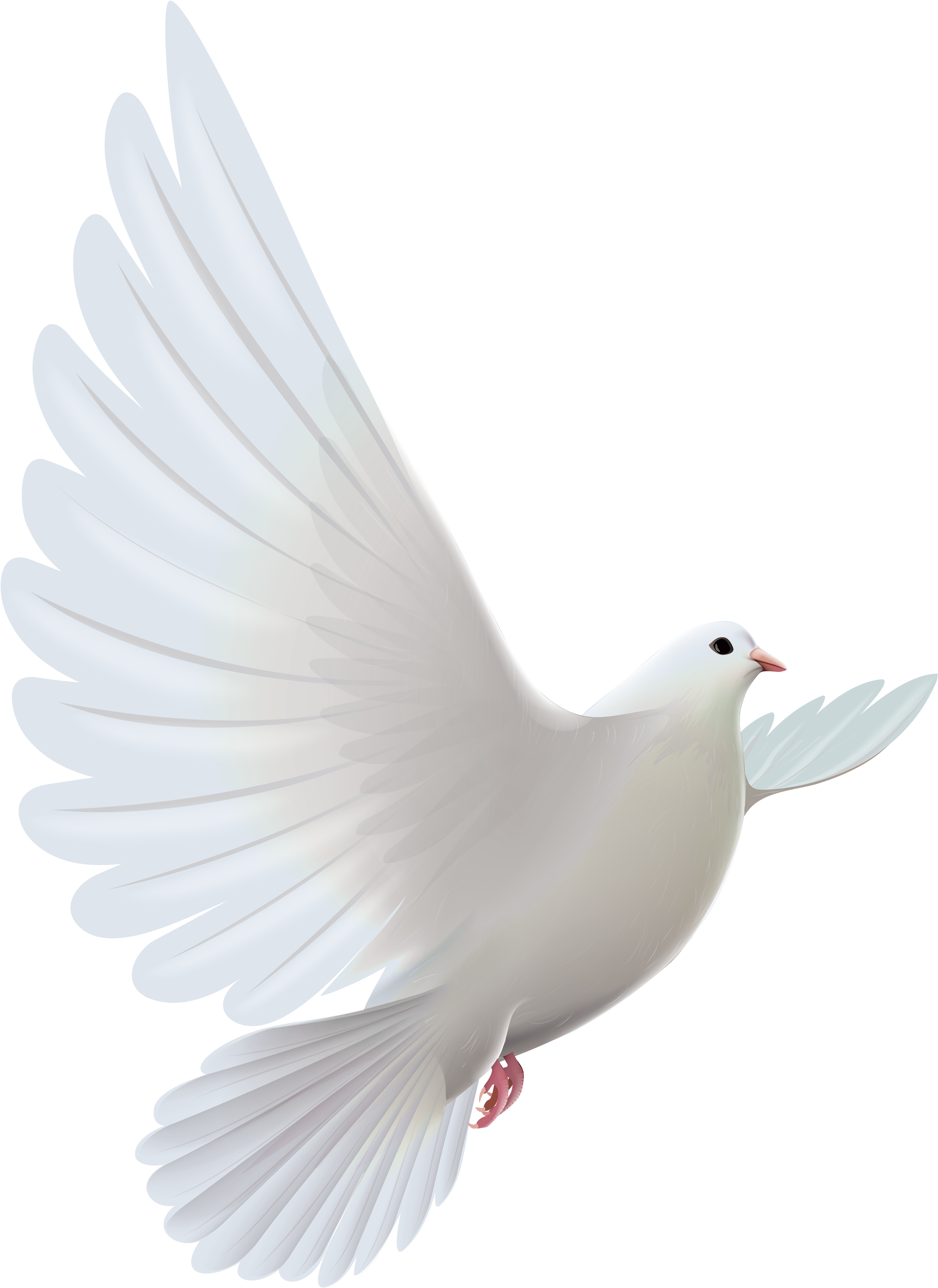 Pic White Flying Pigeon Transparent PNG Image