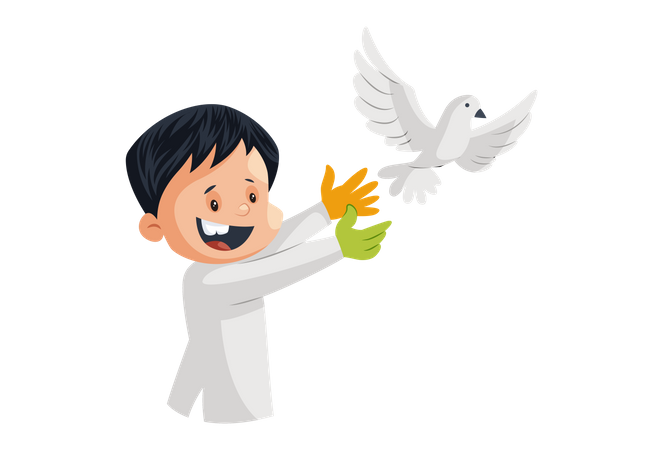 White Peace Pigeon Transparent PNG Image