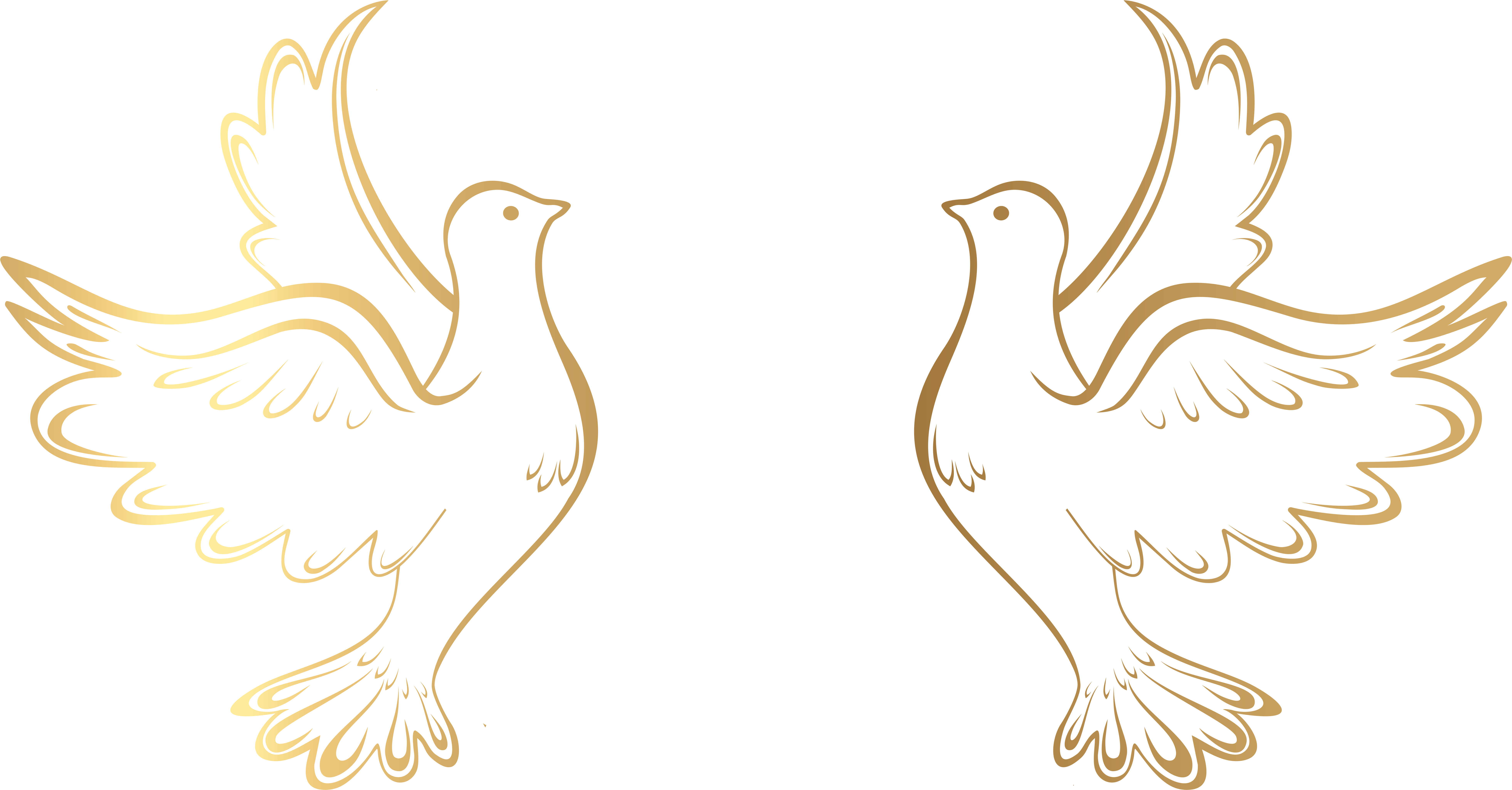 Love Pigeon Wedding Transparent PNG Image
