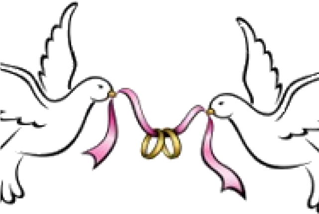 Love Pigeon Wedding File Transparent PNG Image