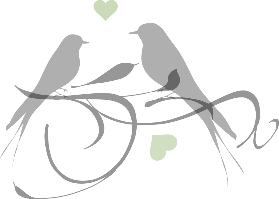 Love Pigeon Wedding Transparent PNG Image