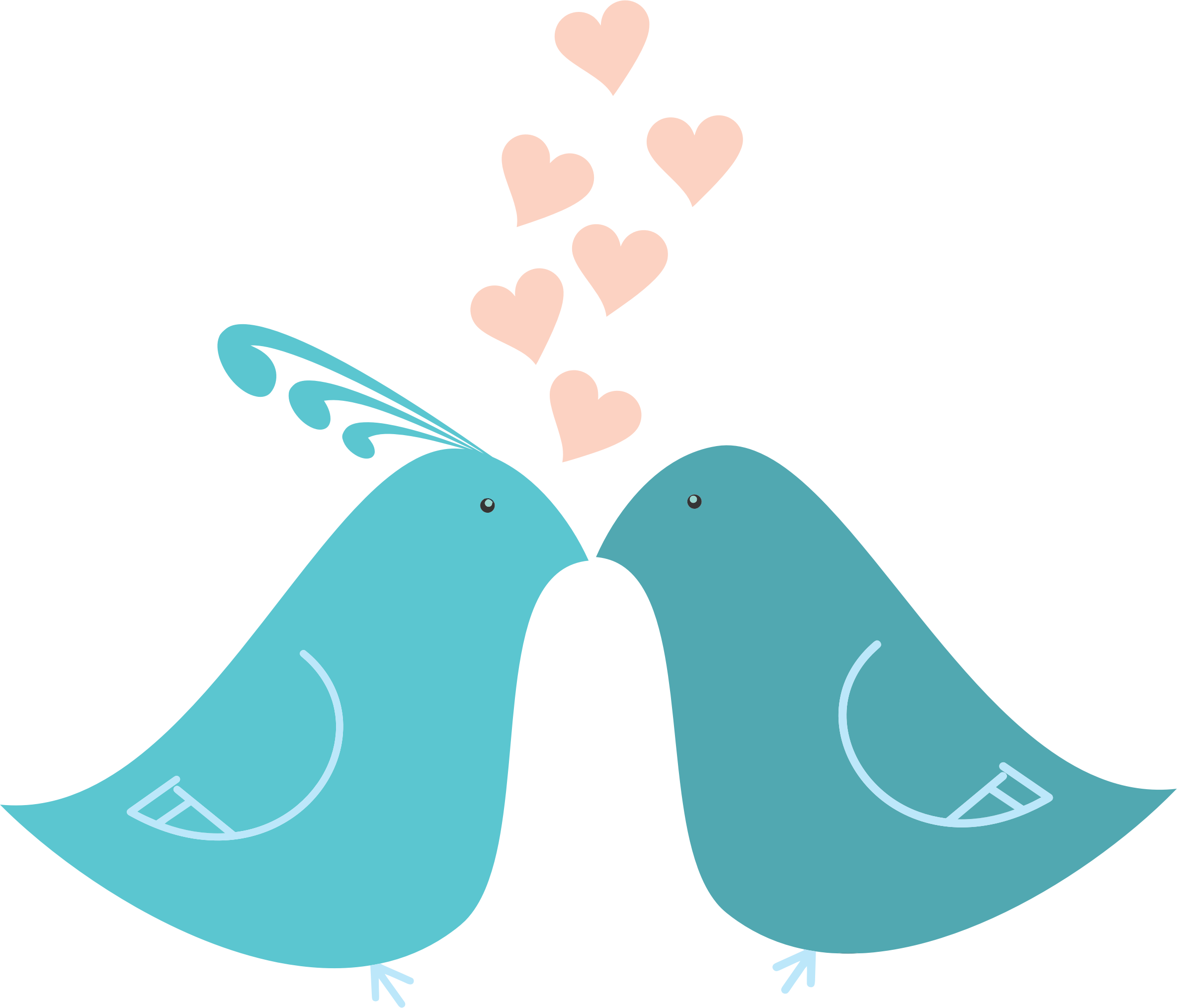 Pigeon Wedding Transparent PNG Image