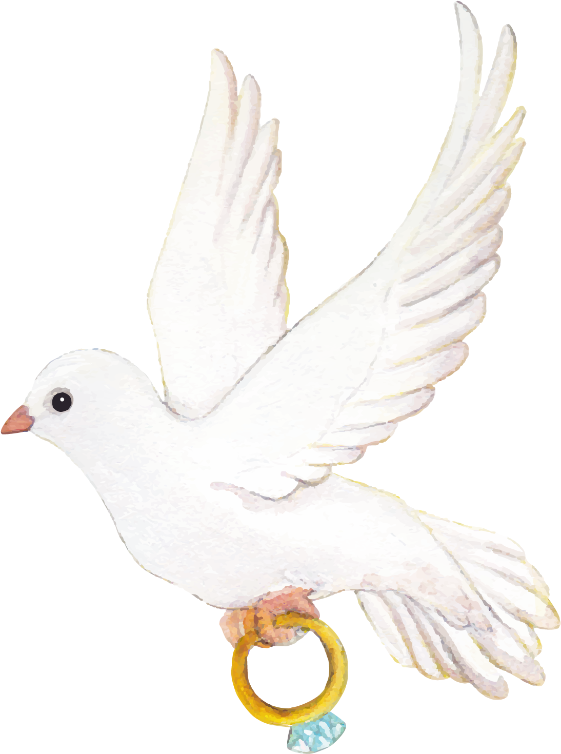Pigeon Wedding Transparent PNG Image