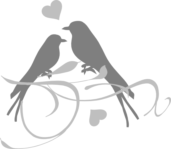 Pigeon Wedding Transparent PNG Image