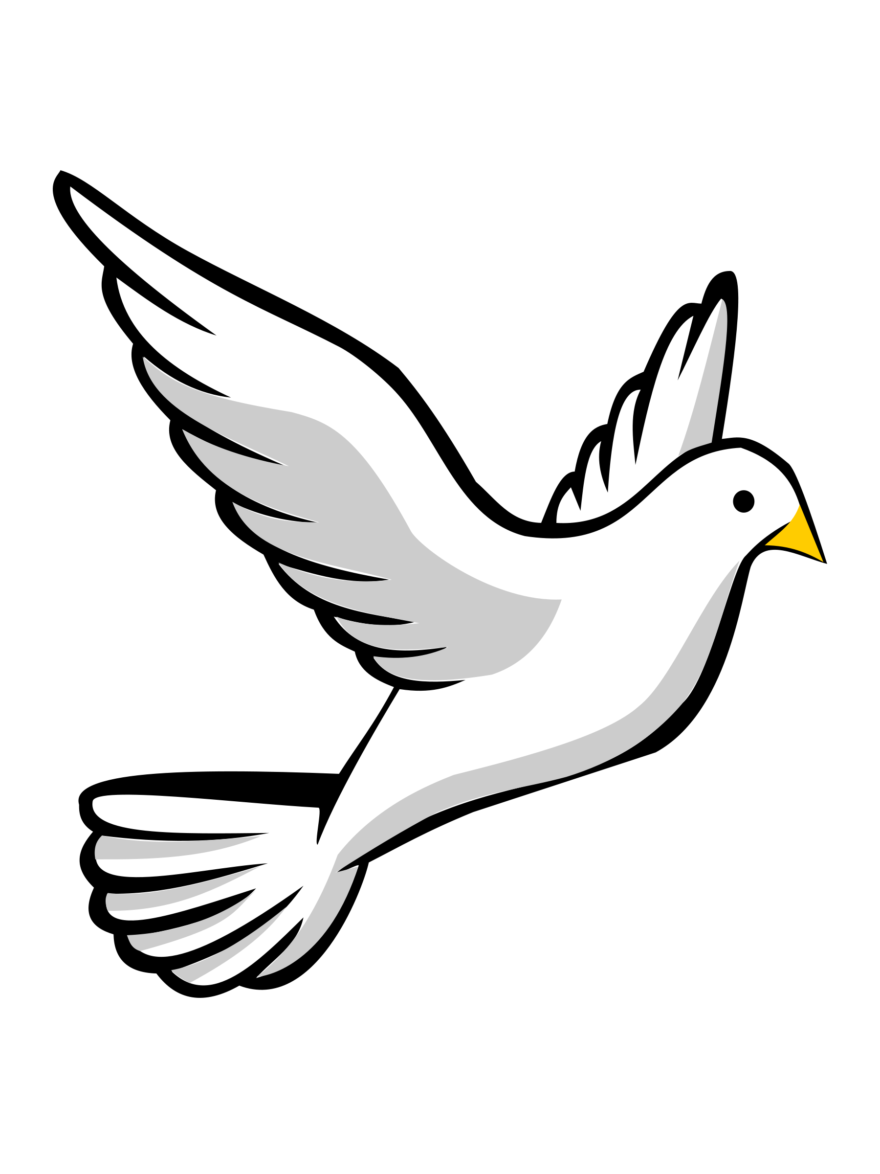 White Pigeon Transparent PNG Image