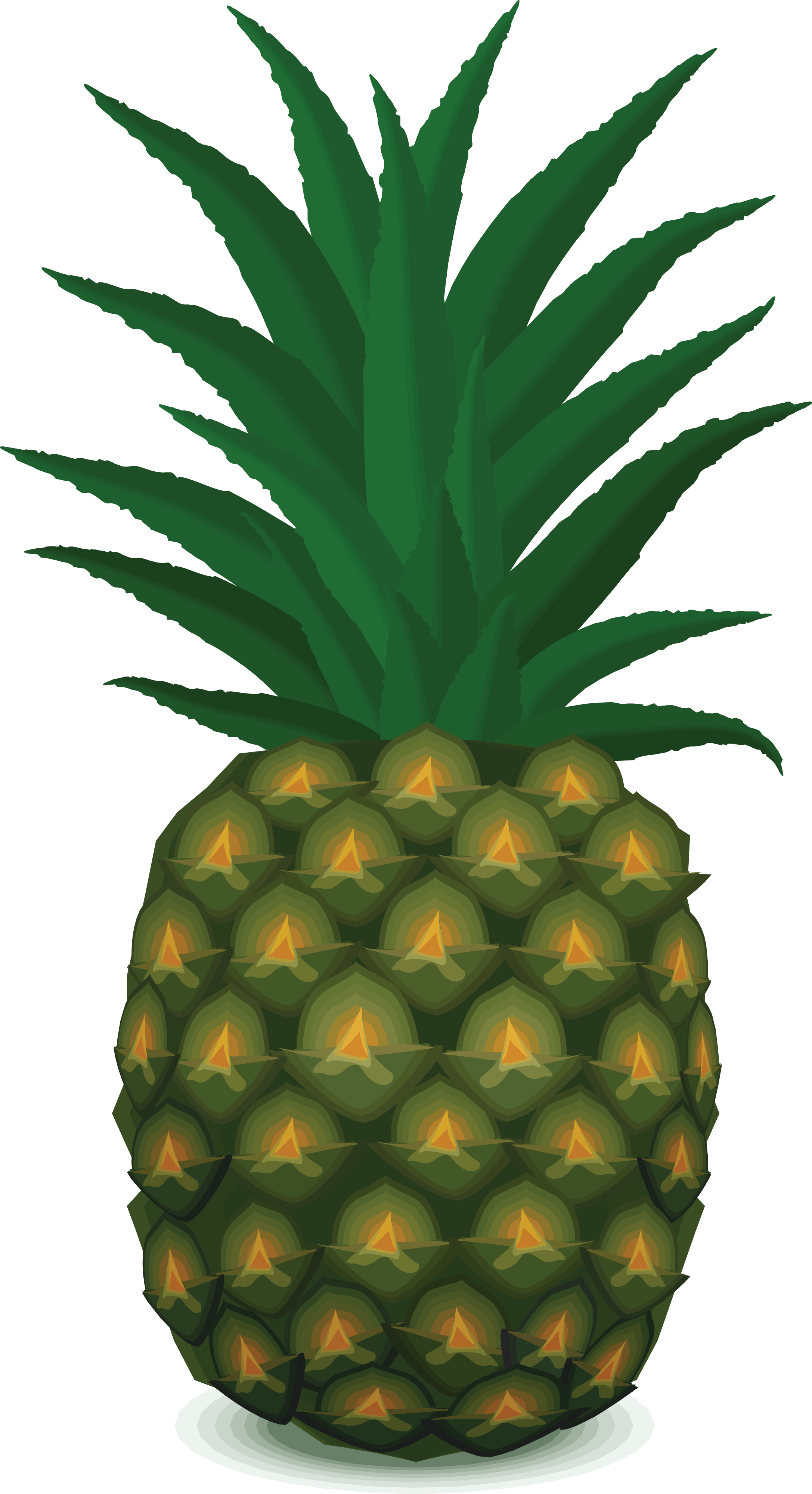 Pineapple Transparent PNG Image