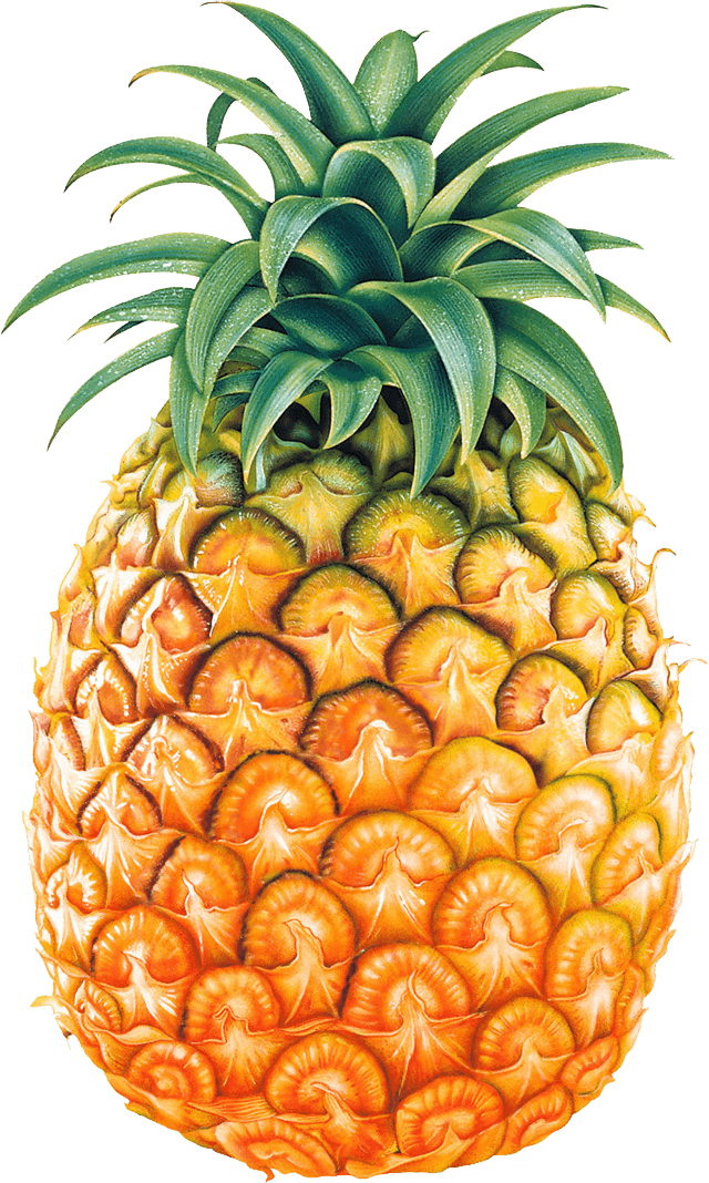 Pineapple Transparent PNG Image