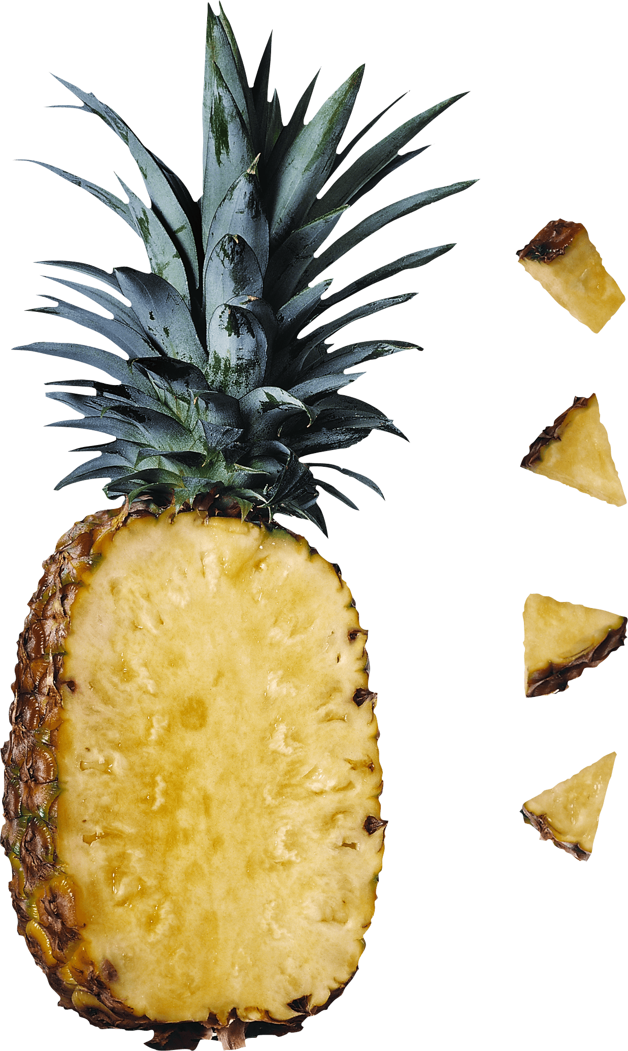 Pineapple Transparent PNG Image