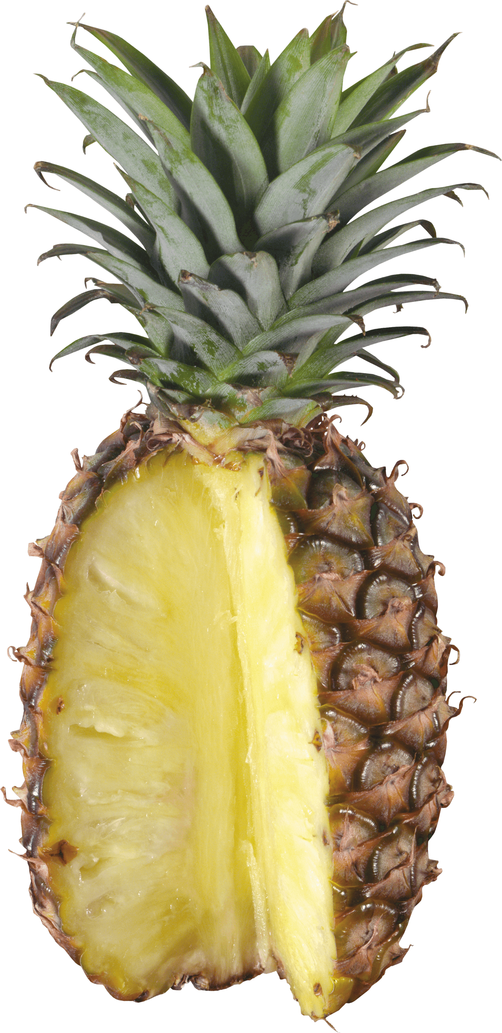 Pineapple Transparent PNG Image