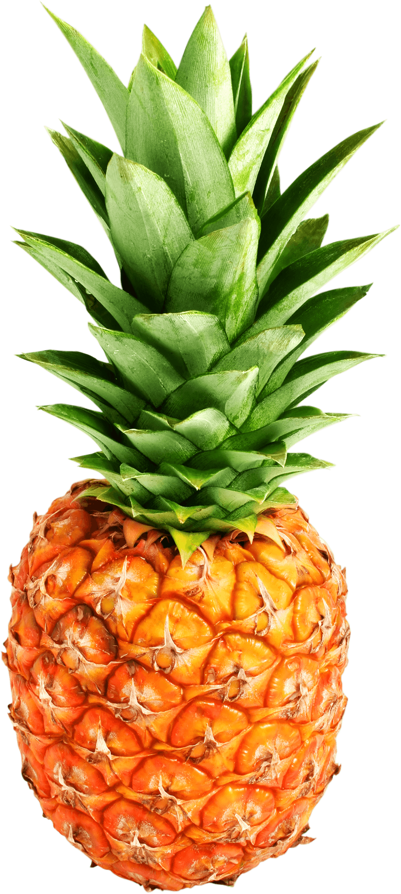 Pineapple Transparent PNG Image