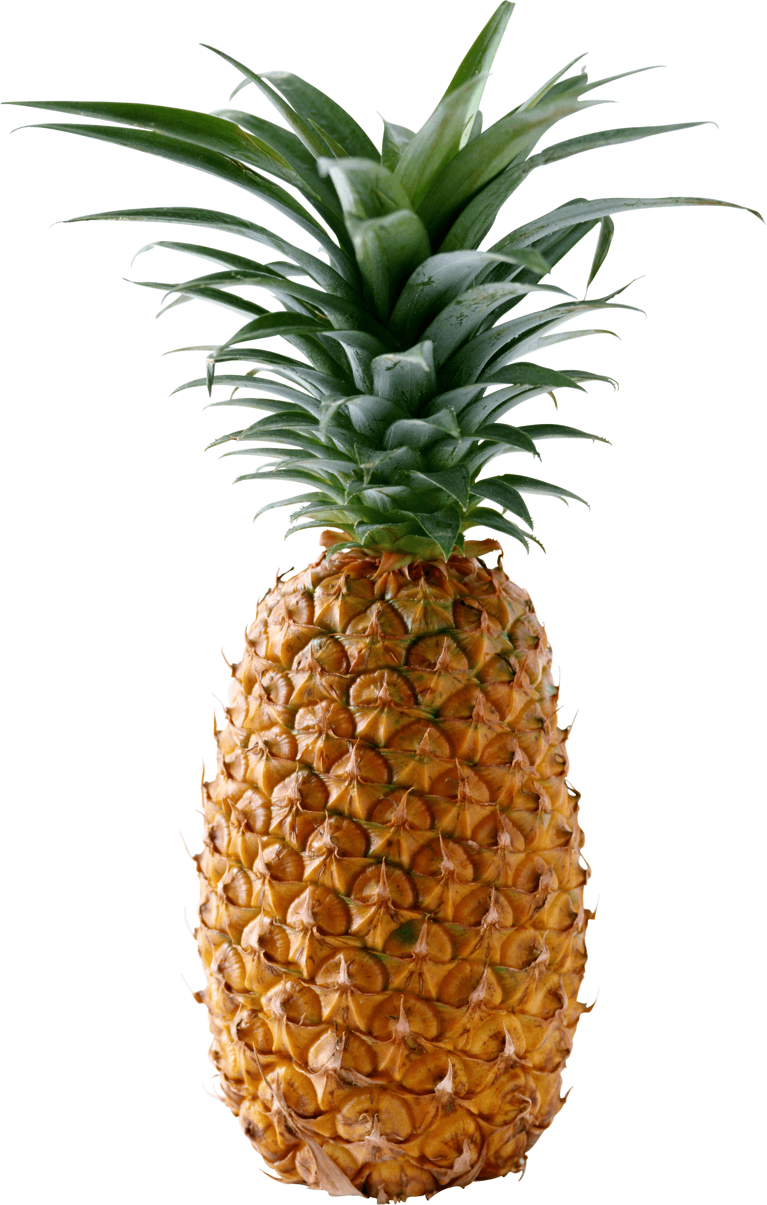 Pineapple Transparent PNG Image