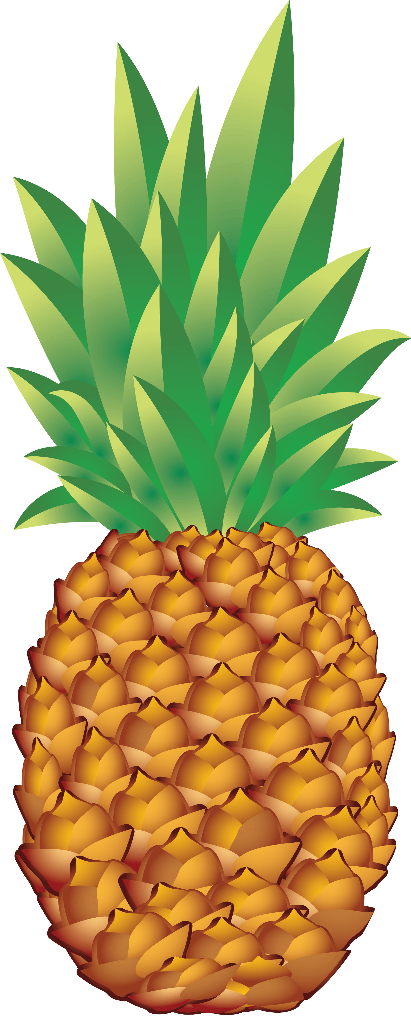 Pineapple Transparent PNG Image