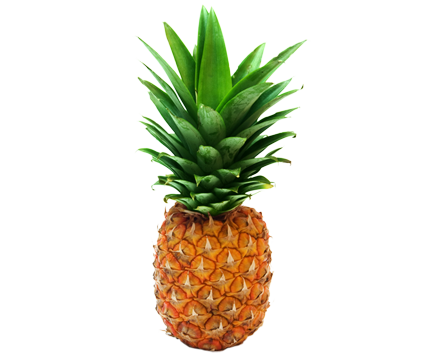 Pineapple Transparent PNG Image