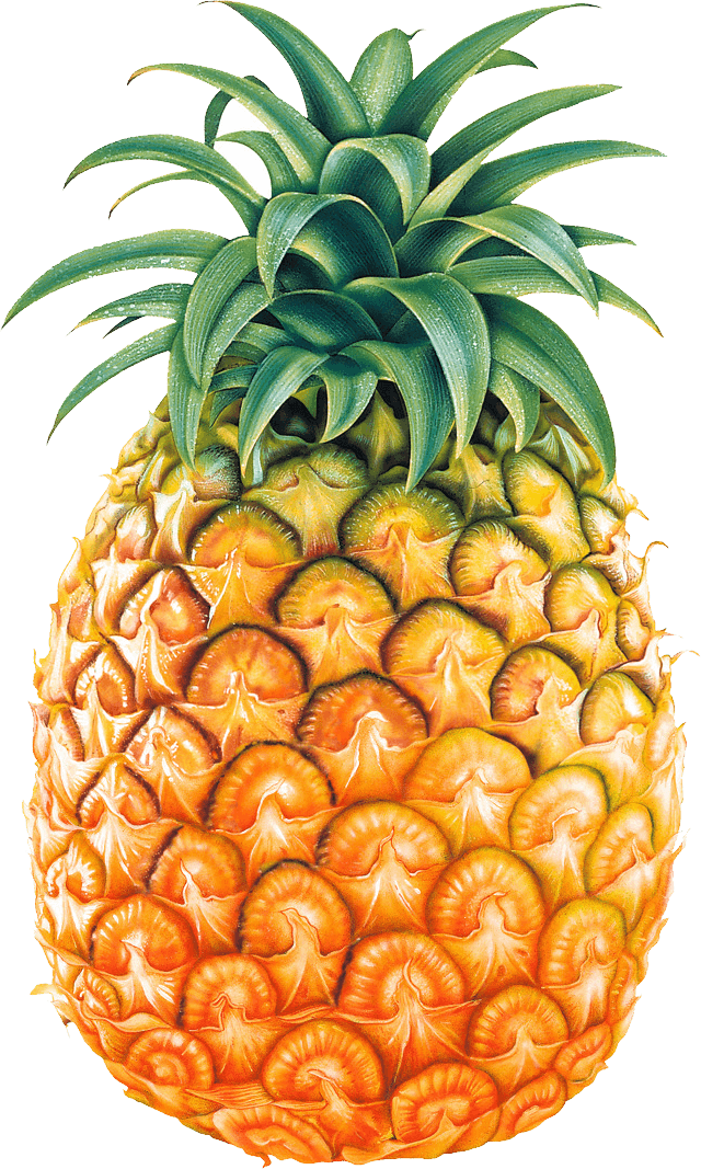 Pineapple Fruit Transparent PNG Image