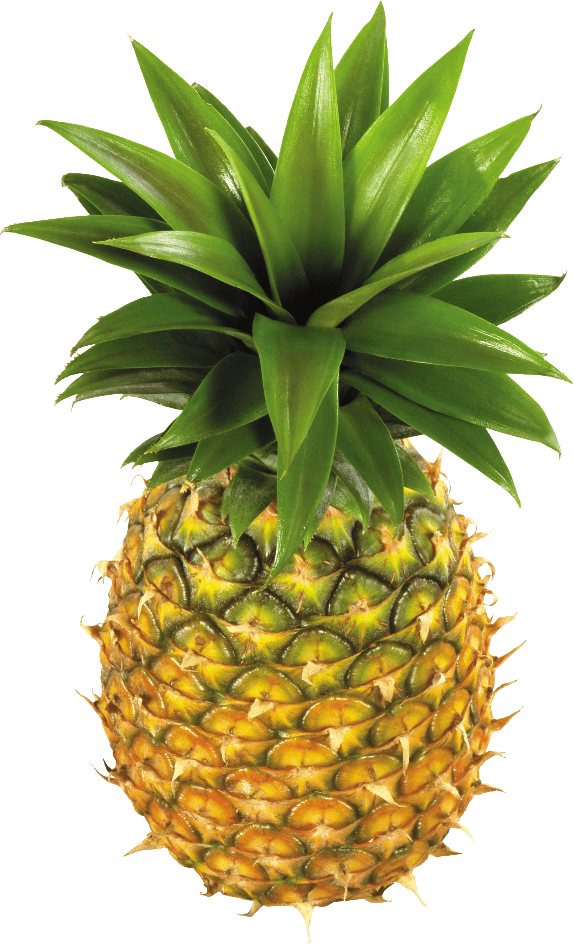 Pineapple Fruit Transparent PNG Image
