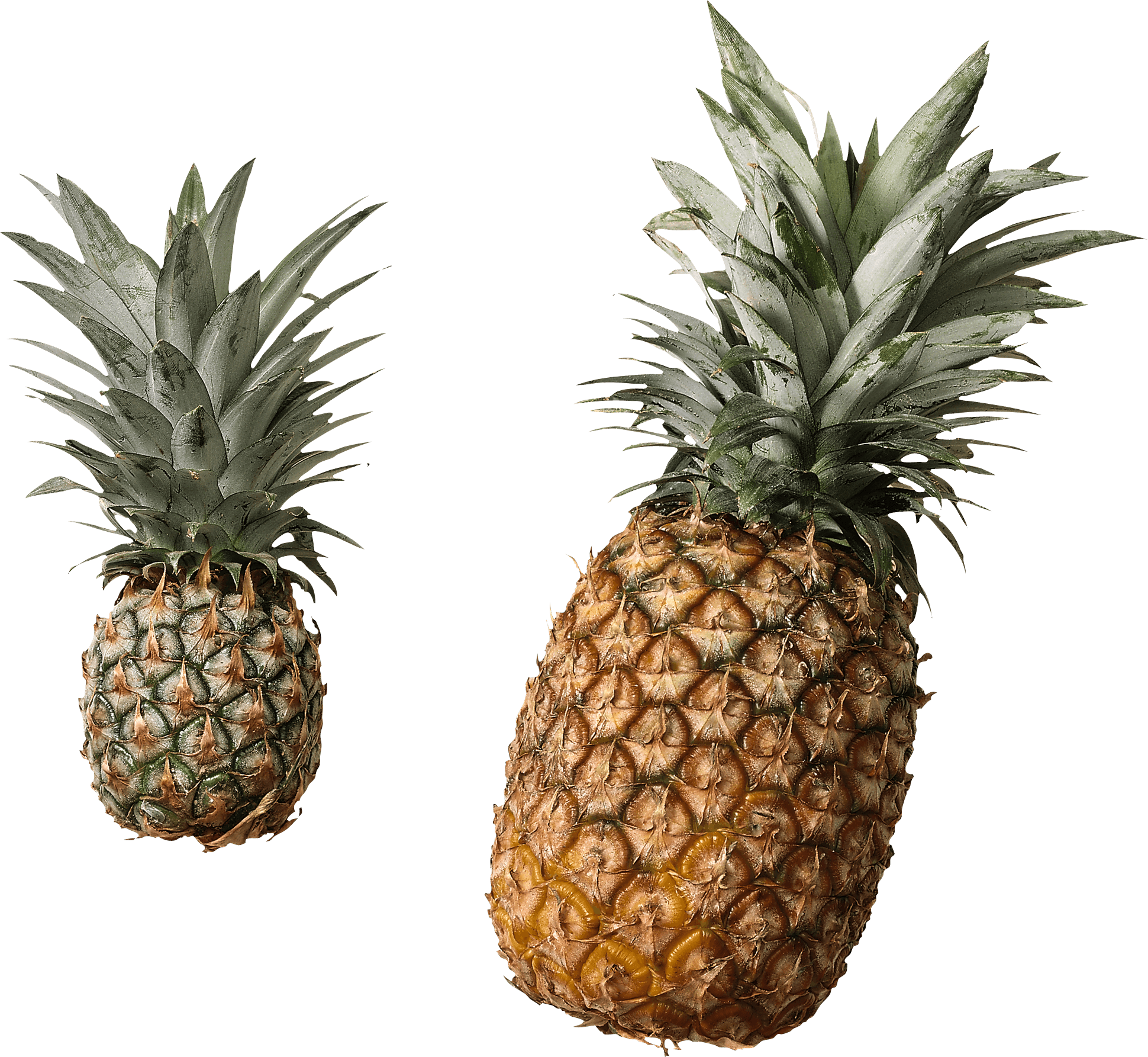 Pineapple Transparent PNG Image