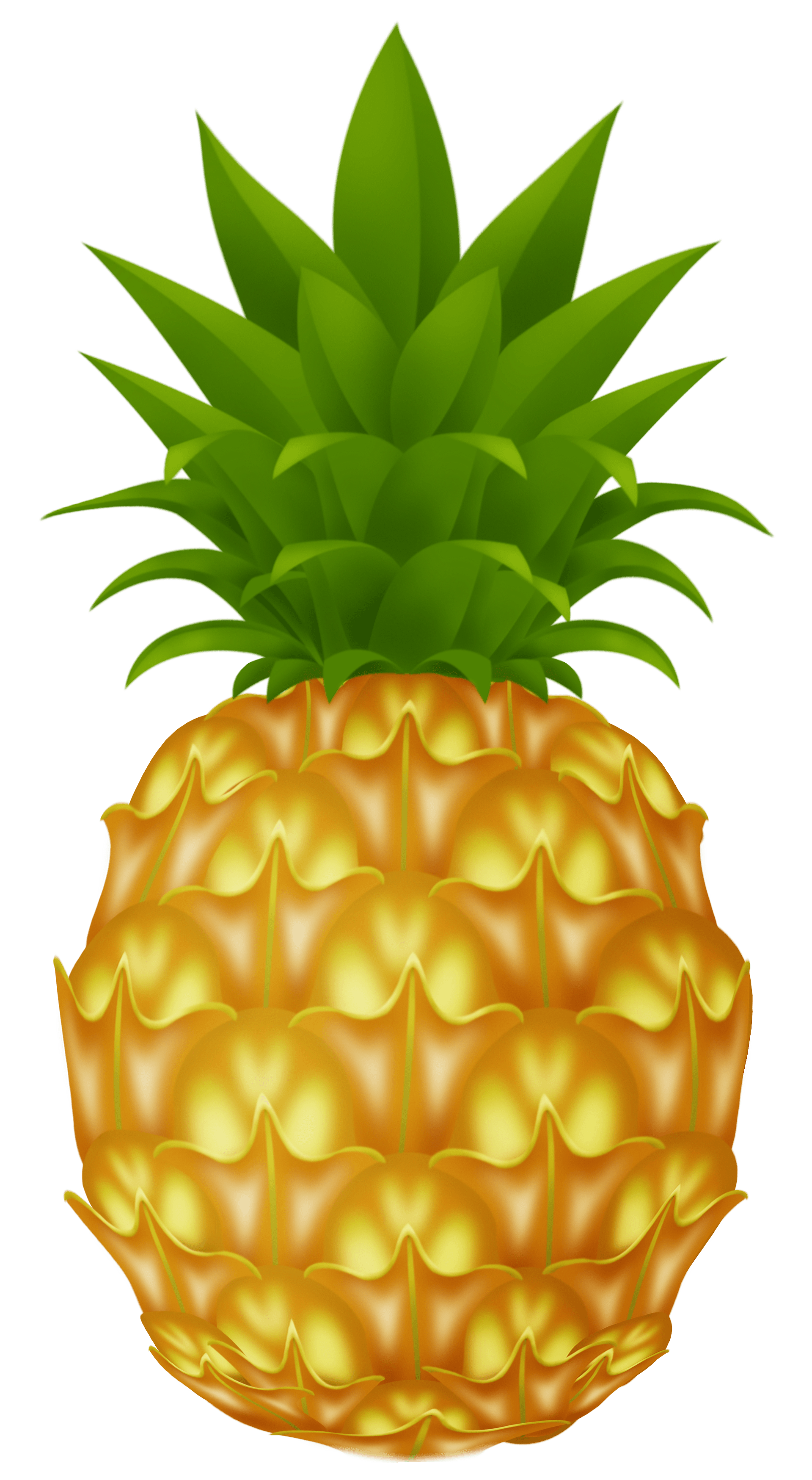 Pineapple Transparent PNG Image