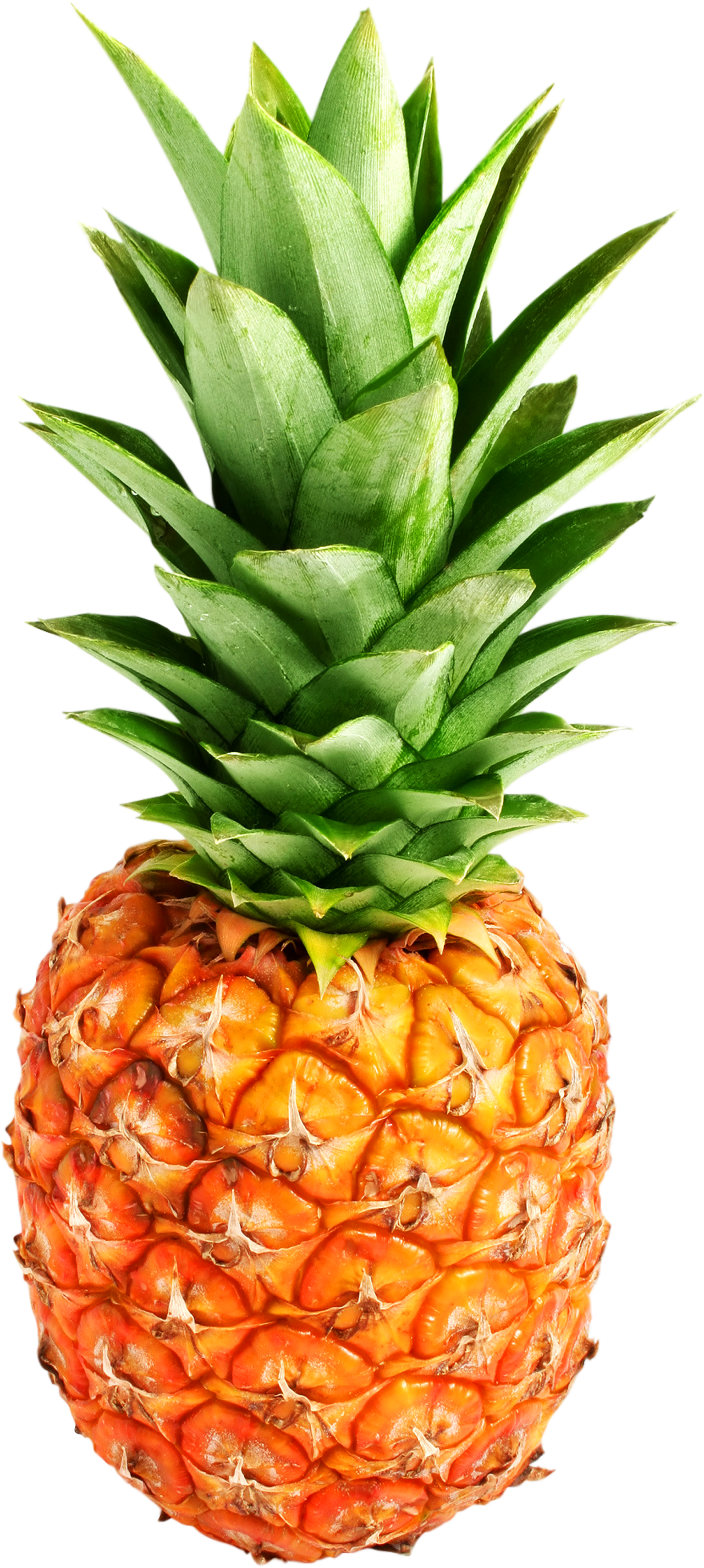 Pineapple Transparent PNG Image