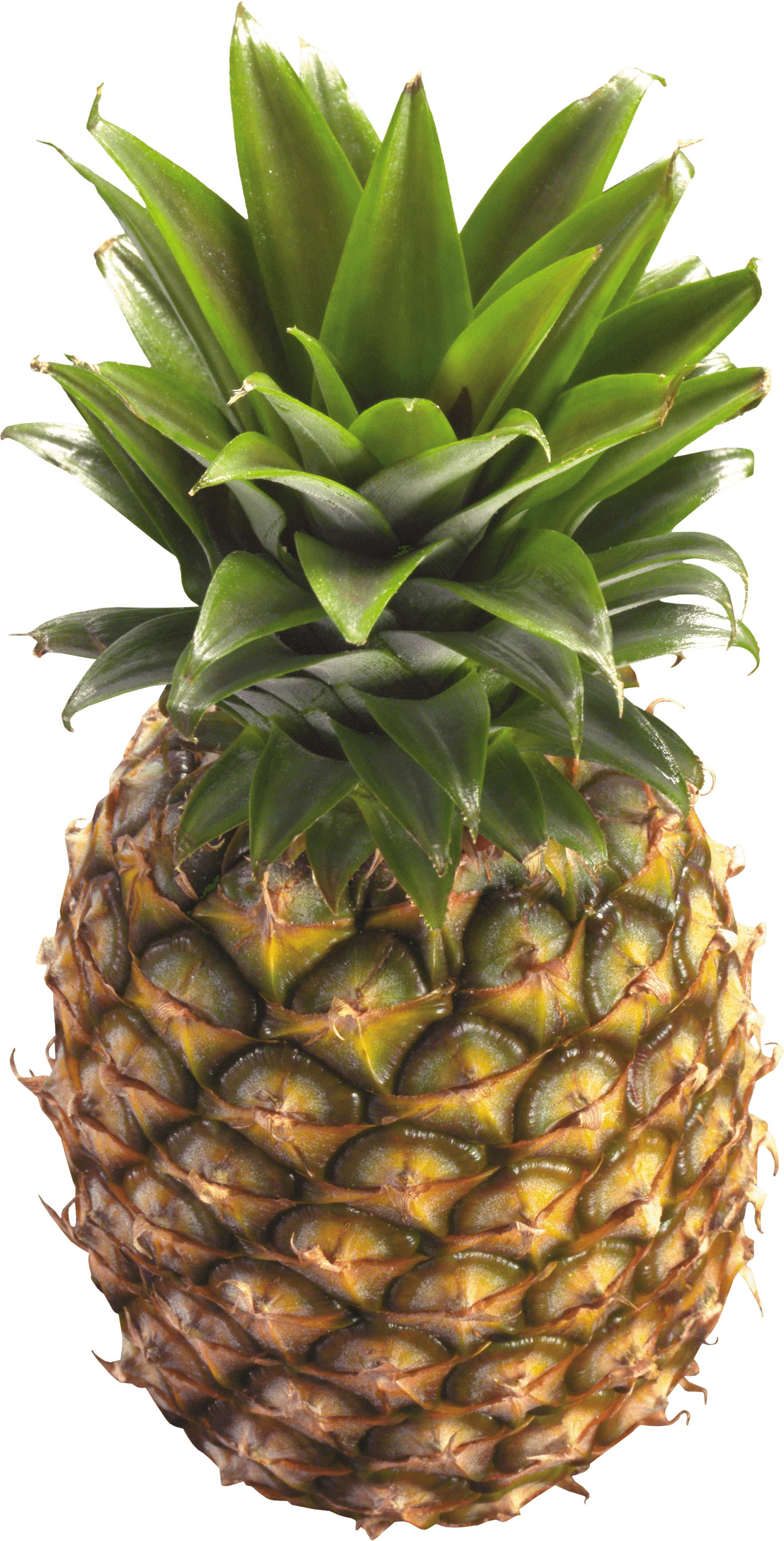 Pineapple Transparent PNG Image