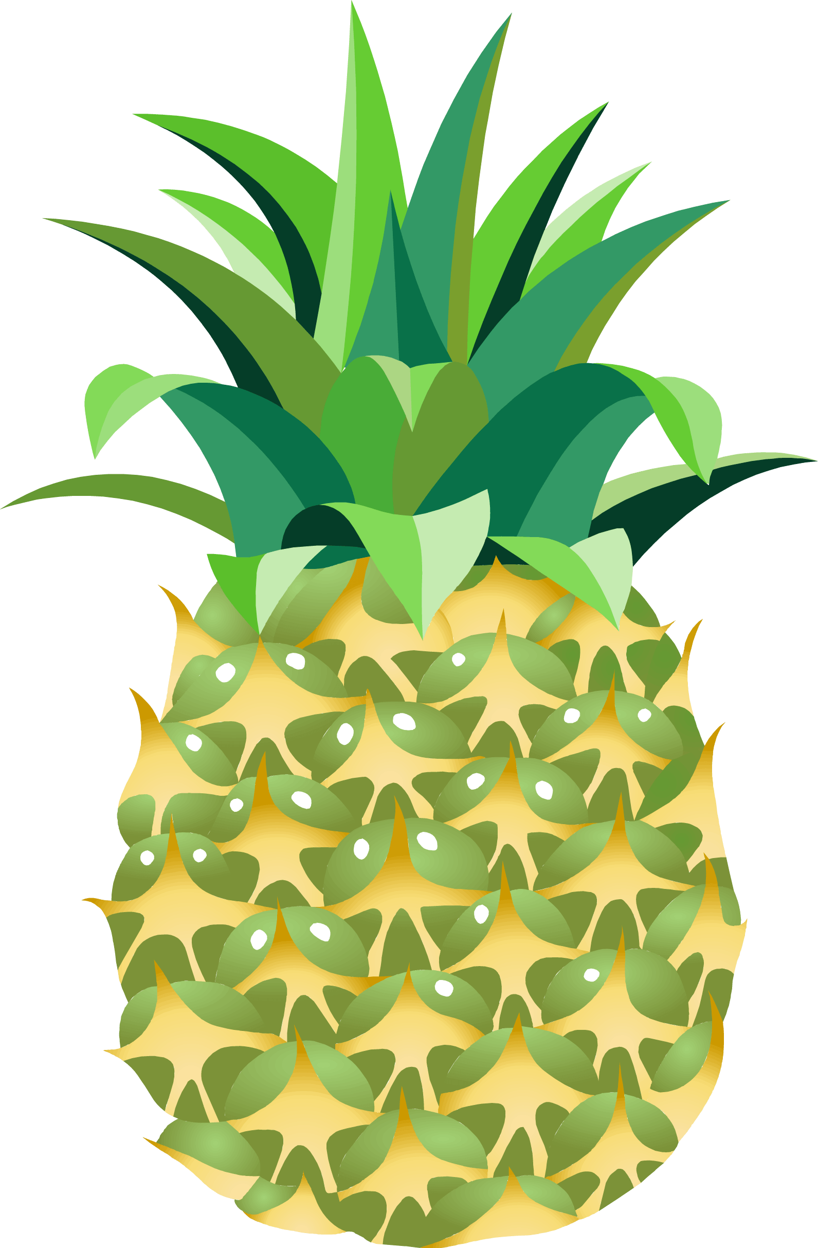Pineapple Transparent PNG Image