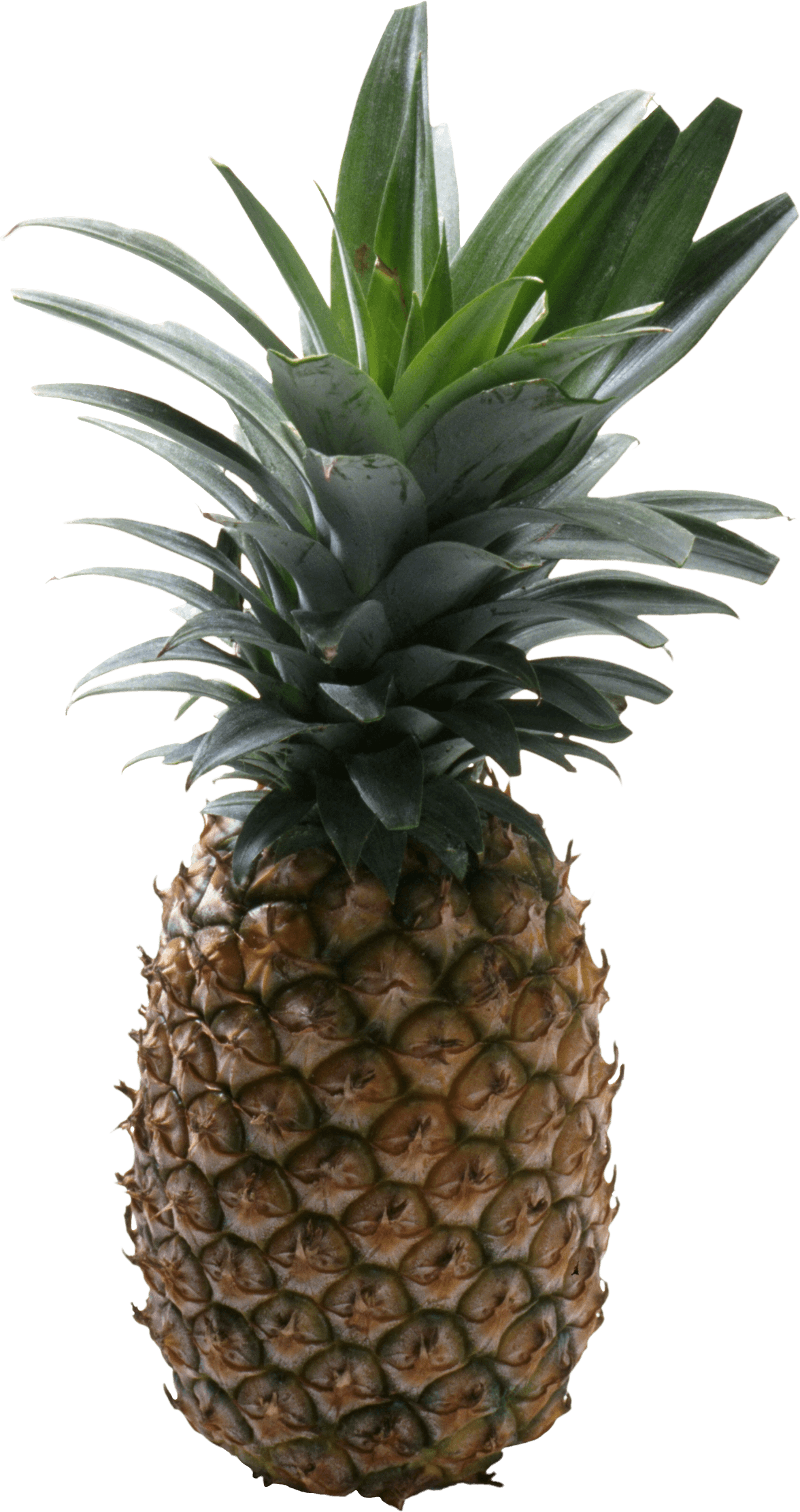 Pineapple Fruit Transparent PNG Image