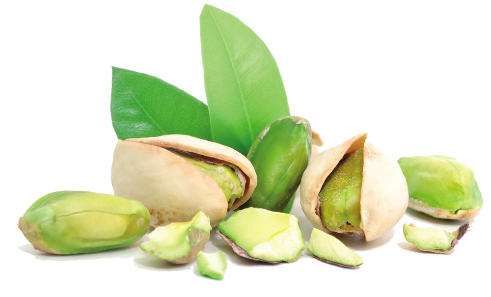 Pistachio Transparent PNG Image