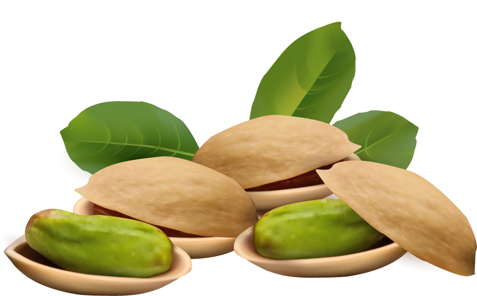 Pistachio File Transparent PNG Image