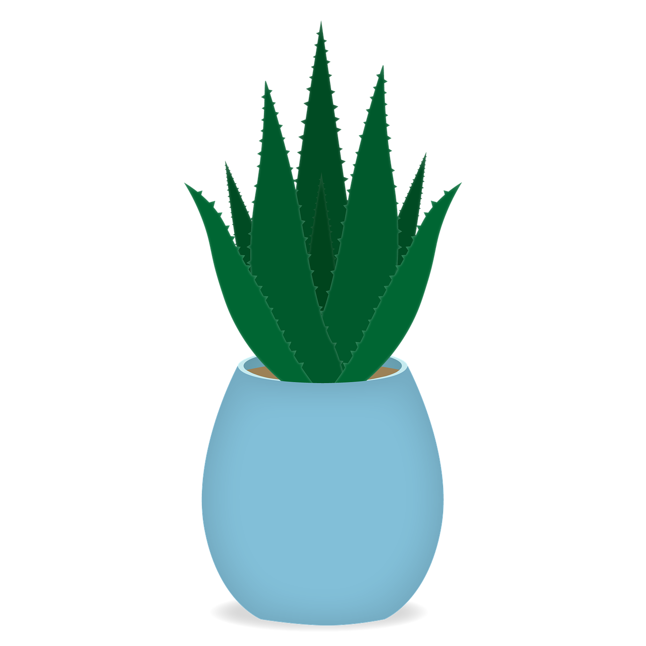 Vera Potted Aloe Transparent PNG Image