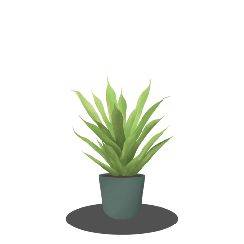 Vera Potted Aloe Transparent PNG Image