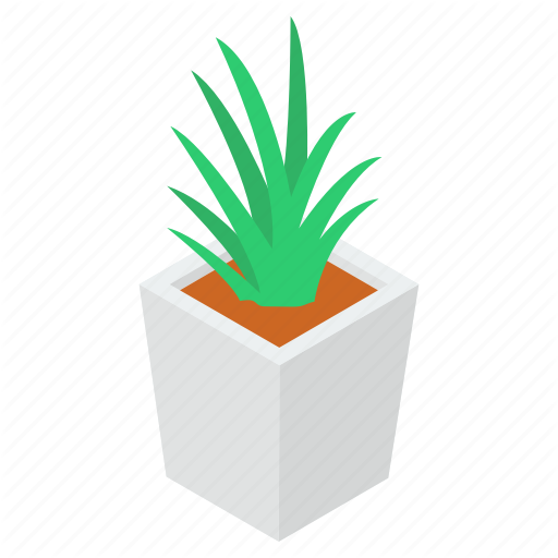 Vera Potted Aloe Transparent PNG Image