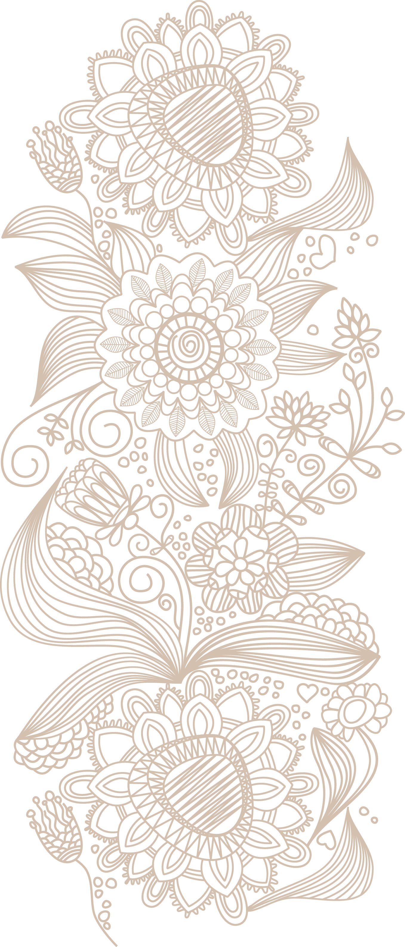 Euclidean Vector Flower Wallpaper Pattern Transparent PNG Image