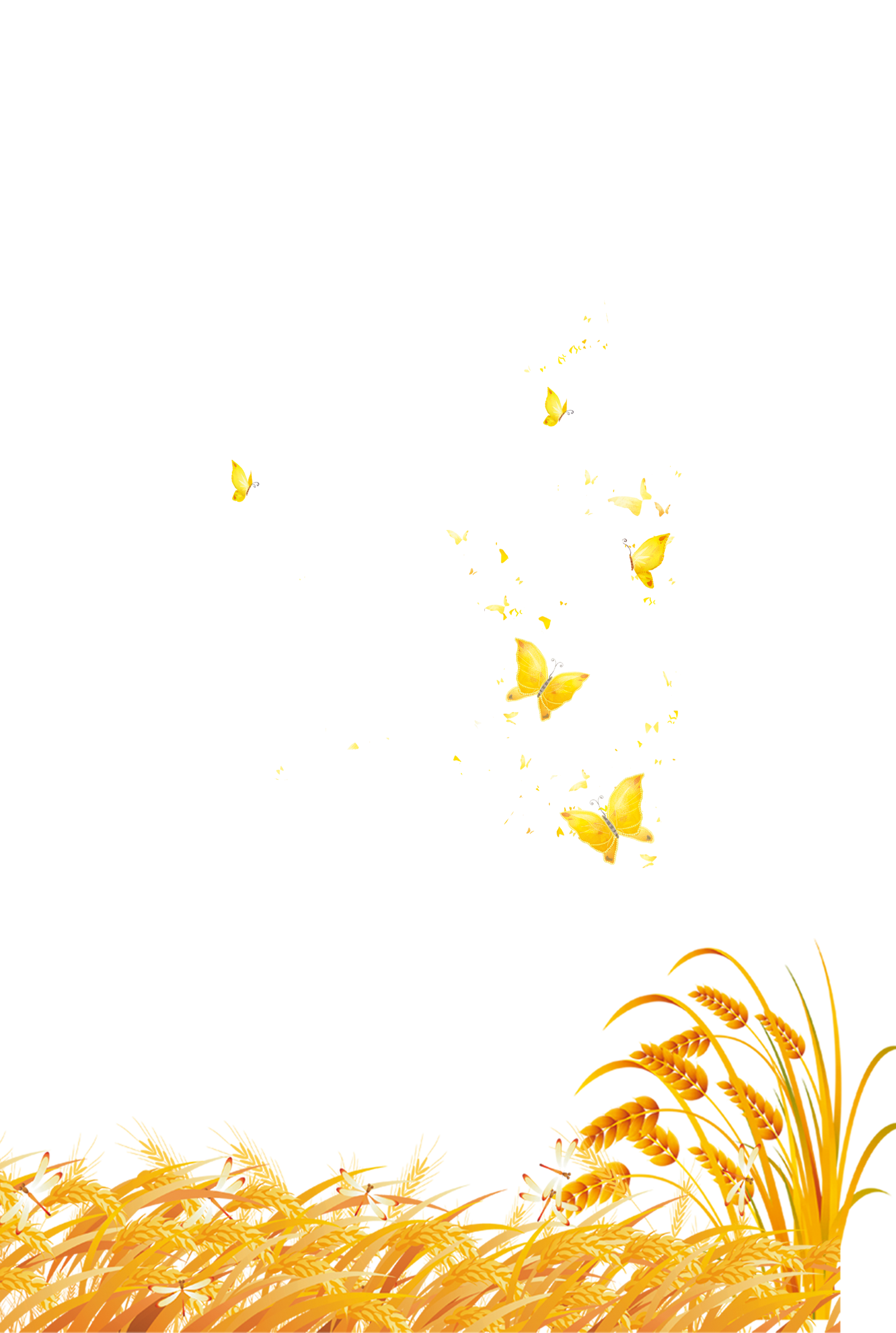 Poster Grass Wheat Advertising Family Transparent PNG Image
