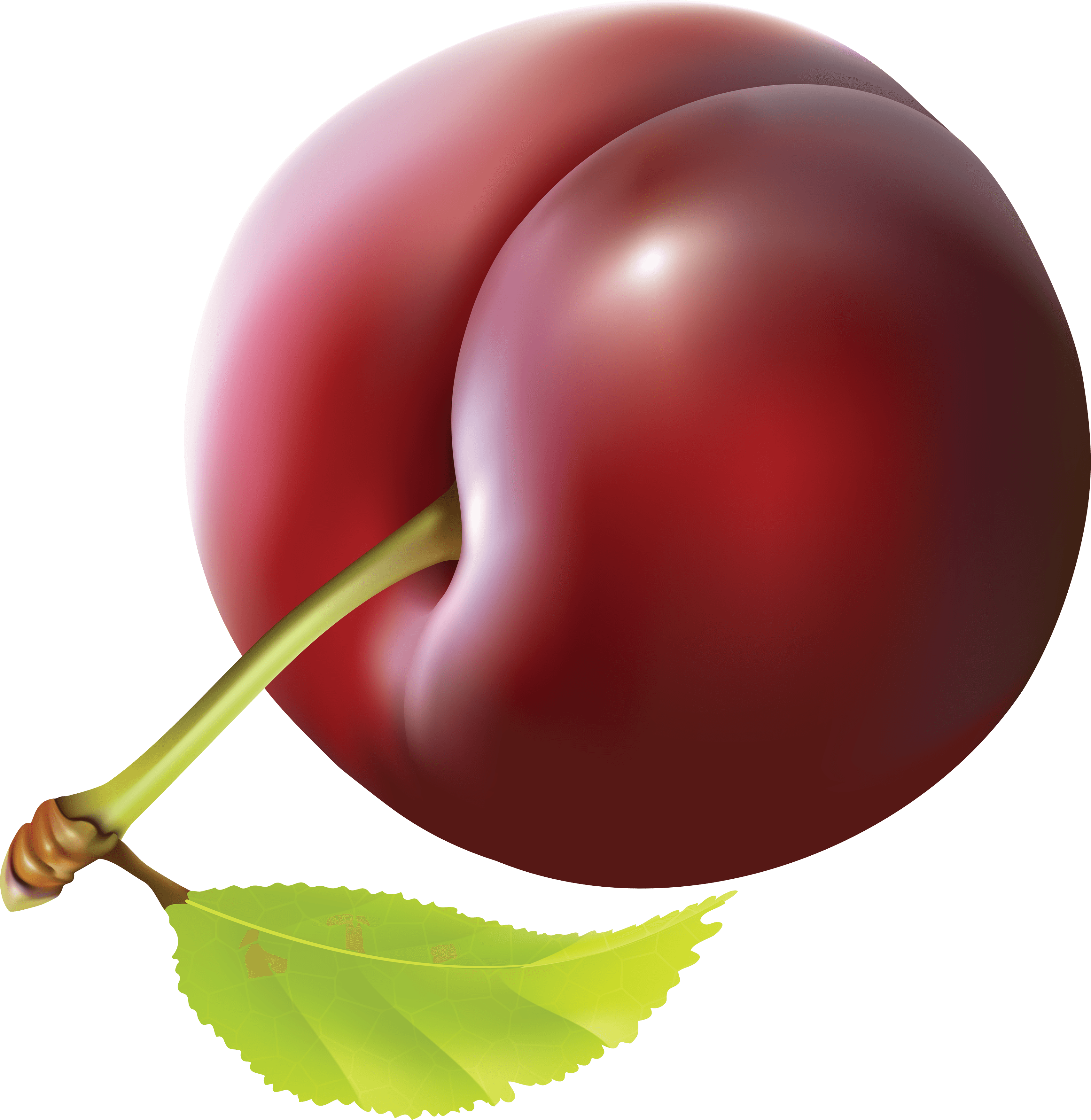 Plum Transparent PNG Image