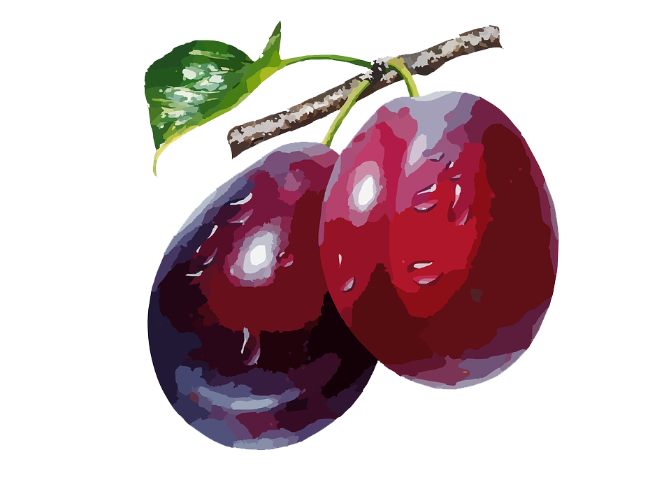 Plum High-Quality Transparent PNG Image