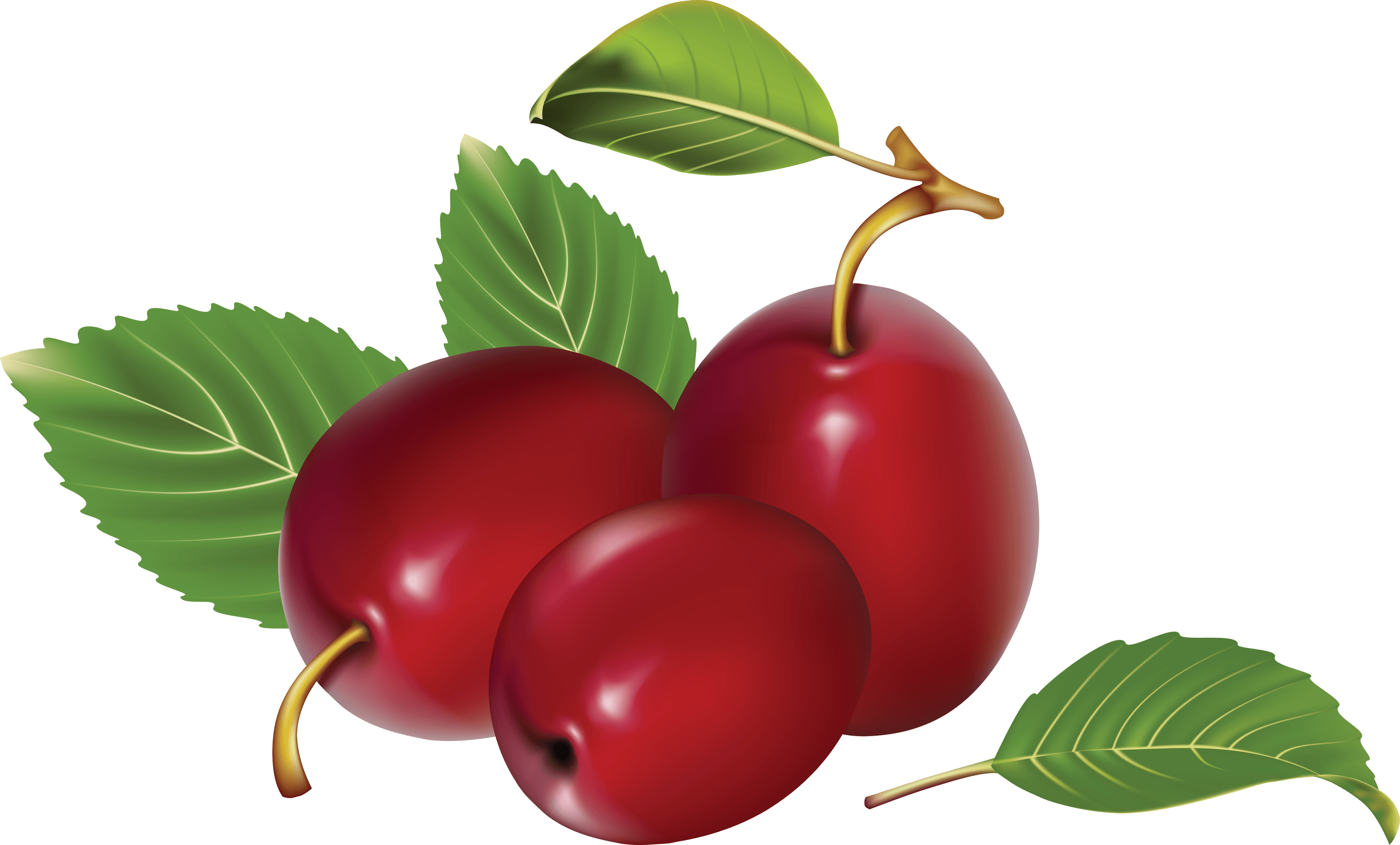 Plum Transparent PNG Image
