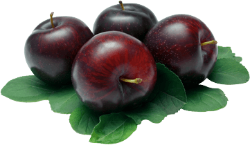 Plum Transparent PNG Image