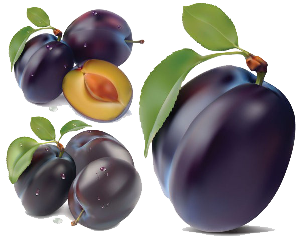 Plum Transparent PNG Image