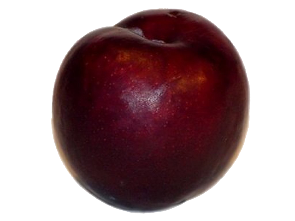 Plum Background Transparent PNG Image