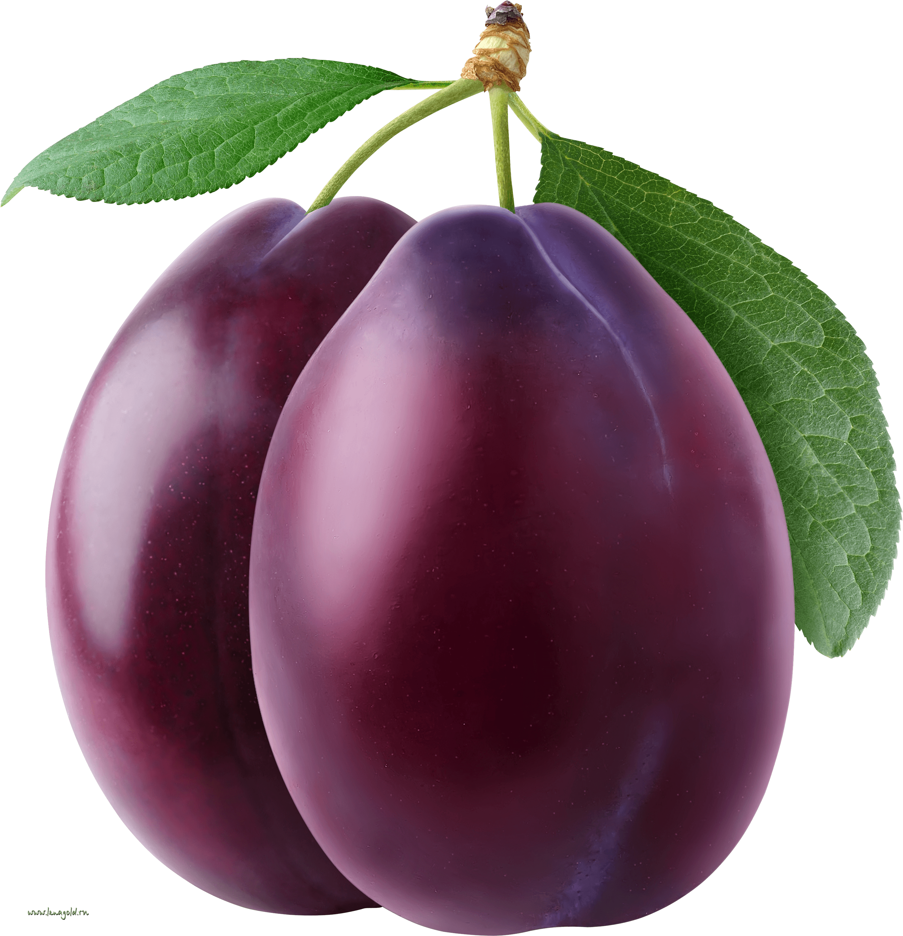 Plum Transparent PNG Image