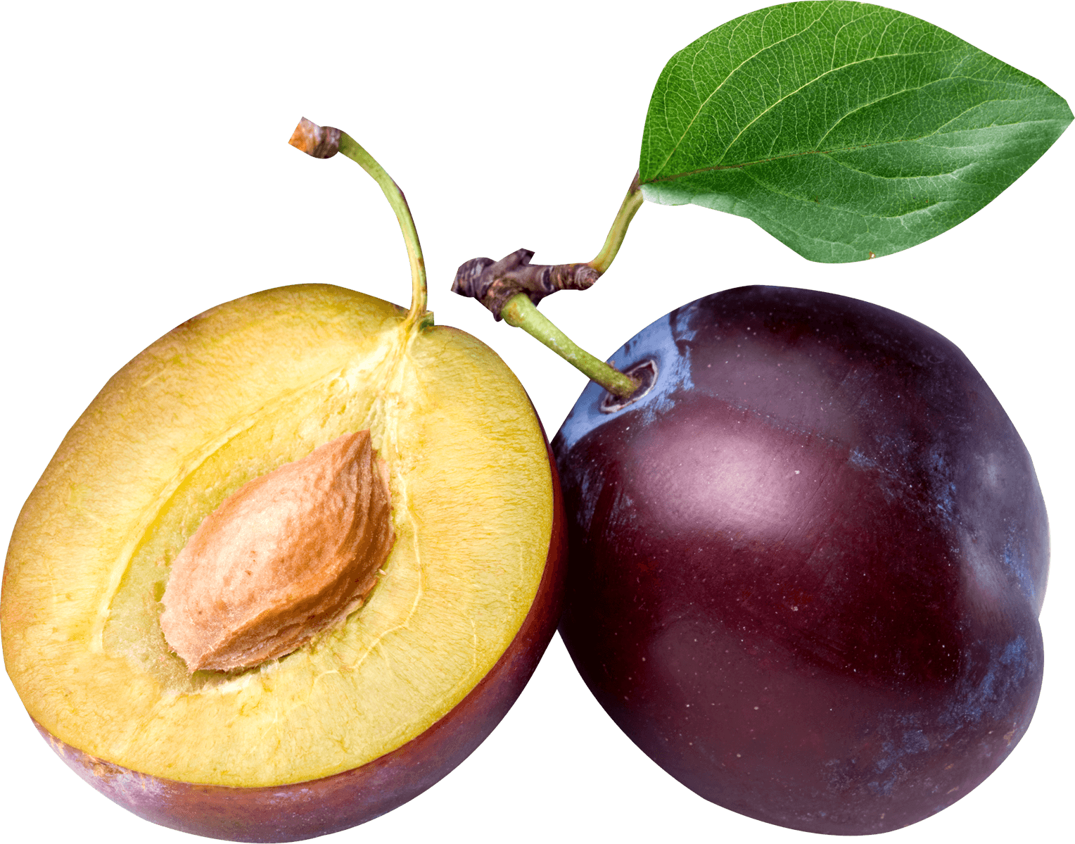 Plum Transparent PNG Image