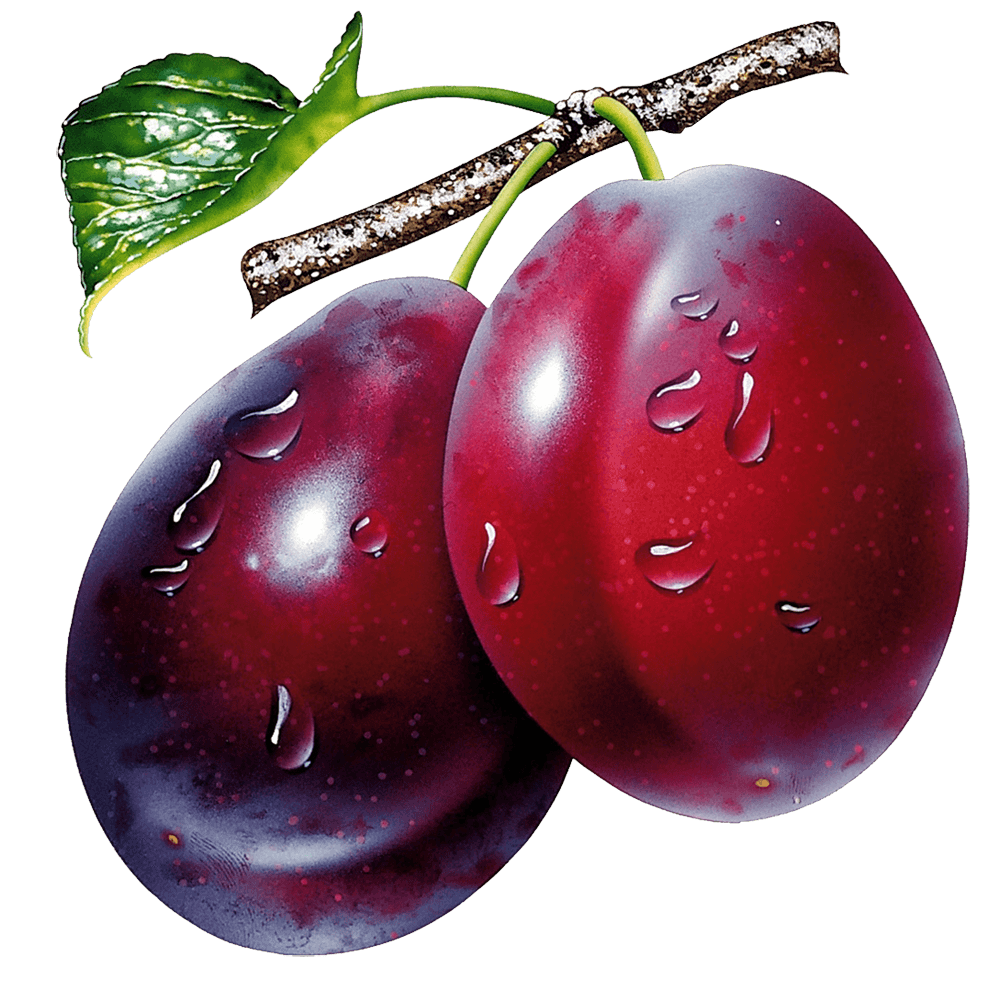 Plum Transparent PNG Image