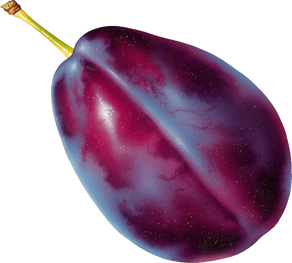 Plum Transparent PNG Image