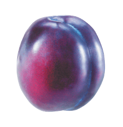 Plum Transparent PNG Image