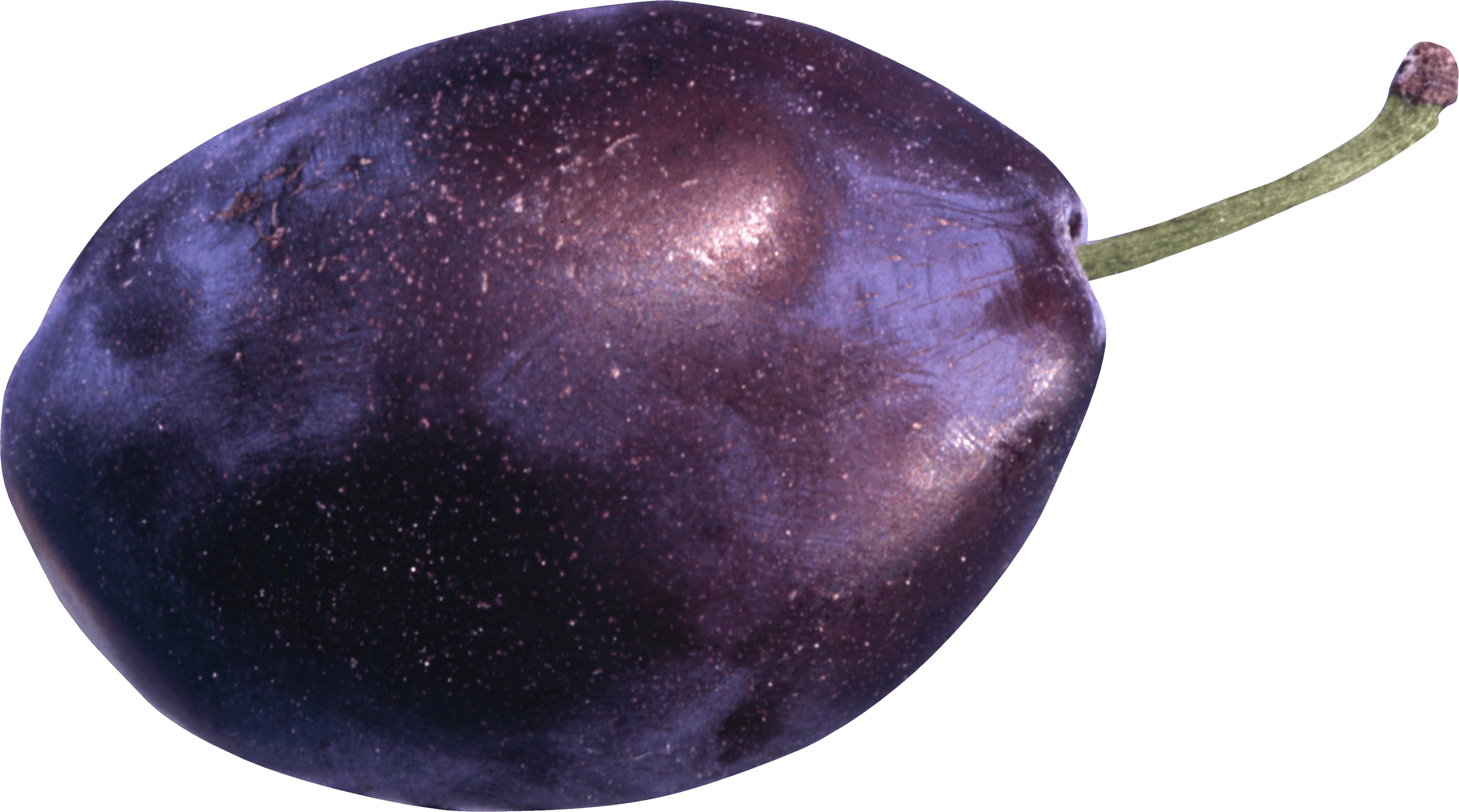 Plum Transparent PNG Image