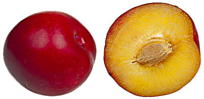 Plum Transparent PNG Image