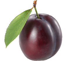 Plum Transparent PNG Image