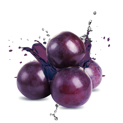 Plum File Transparent PNG Image