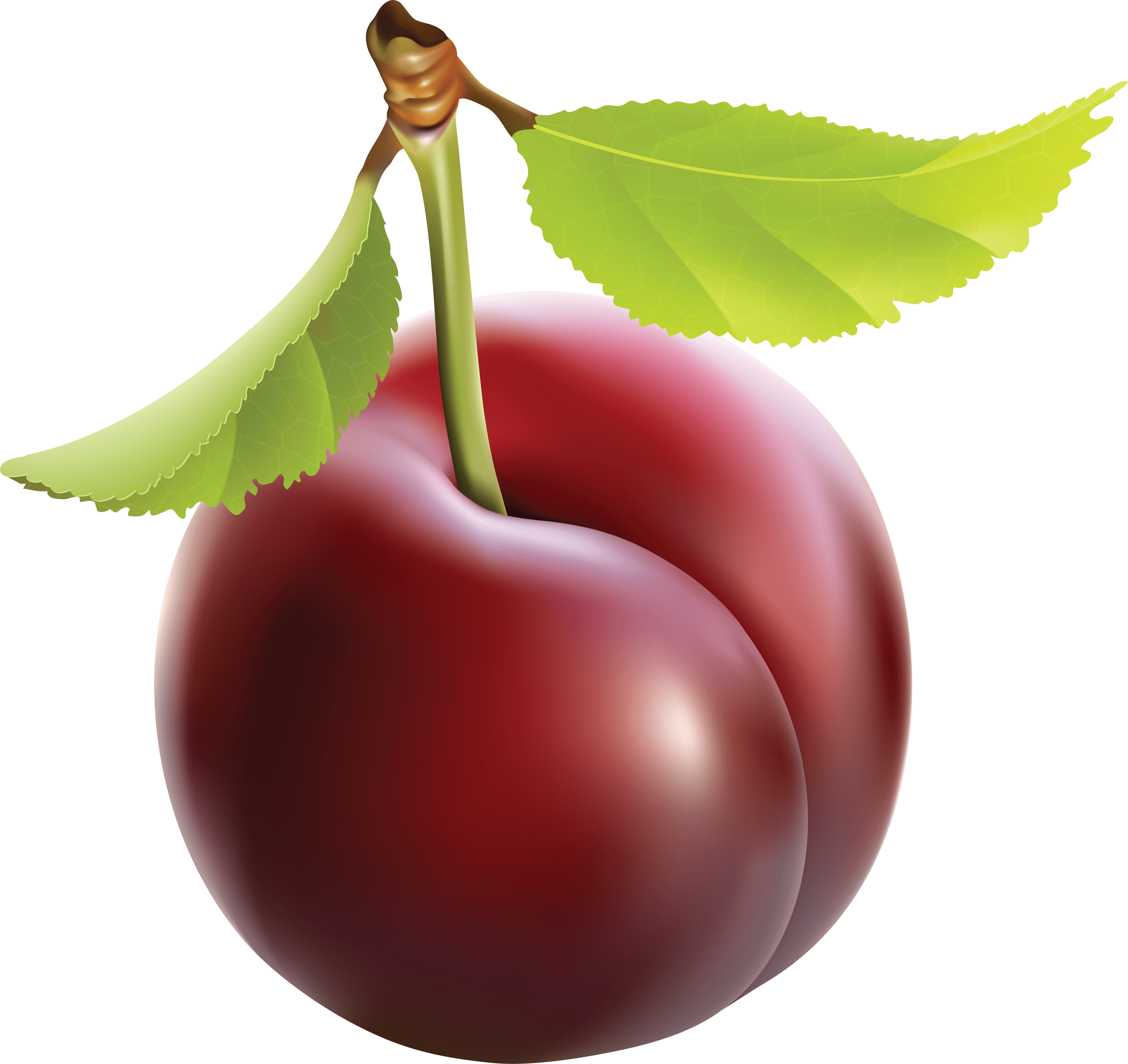 Plum Transparent PNG Image