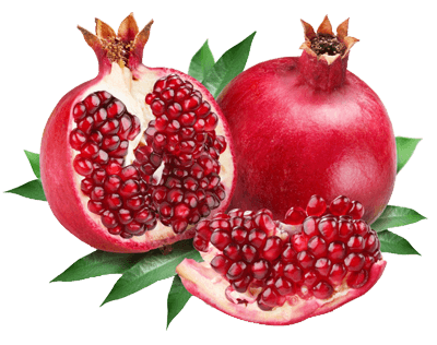 Pomegranate Transparent PNG Image